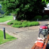 2305F 091 Coffee To Go